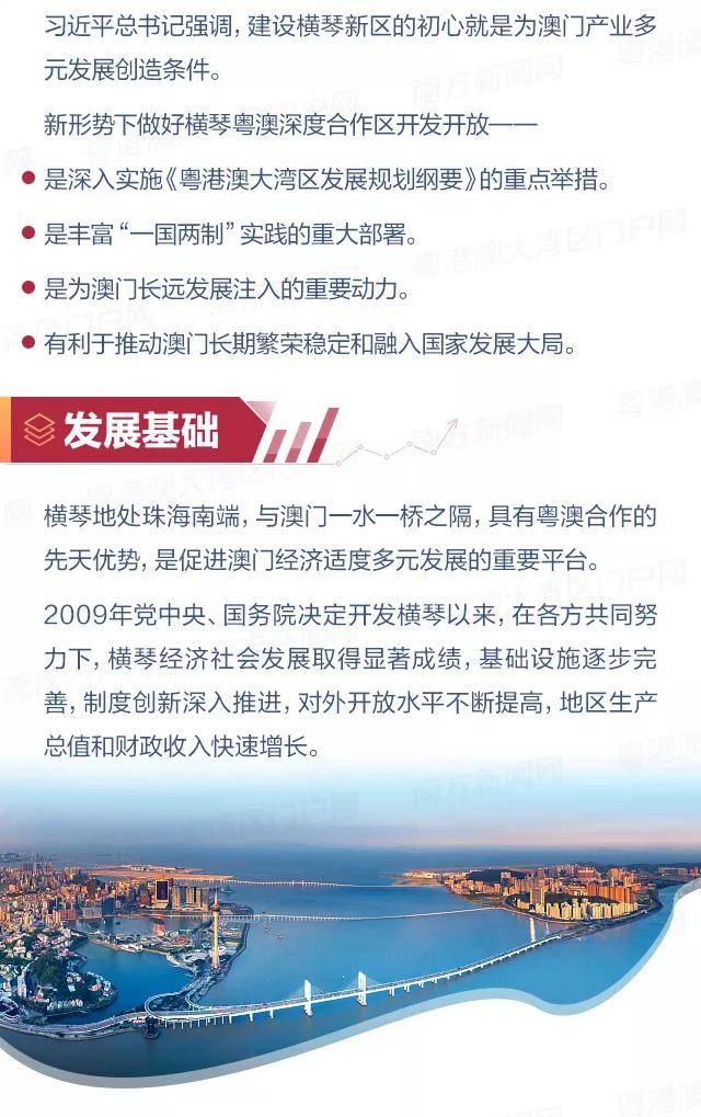 澳门全年免费资料,澳门全年免费资料，深度探索与解析