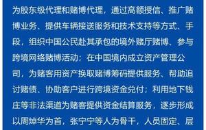 2025澳门今晚开特马结果,澳门今晚开特马结果，探索随机性与预测之间的微妙平衡