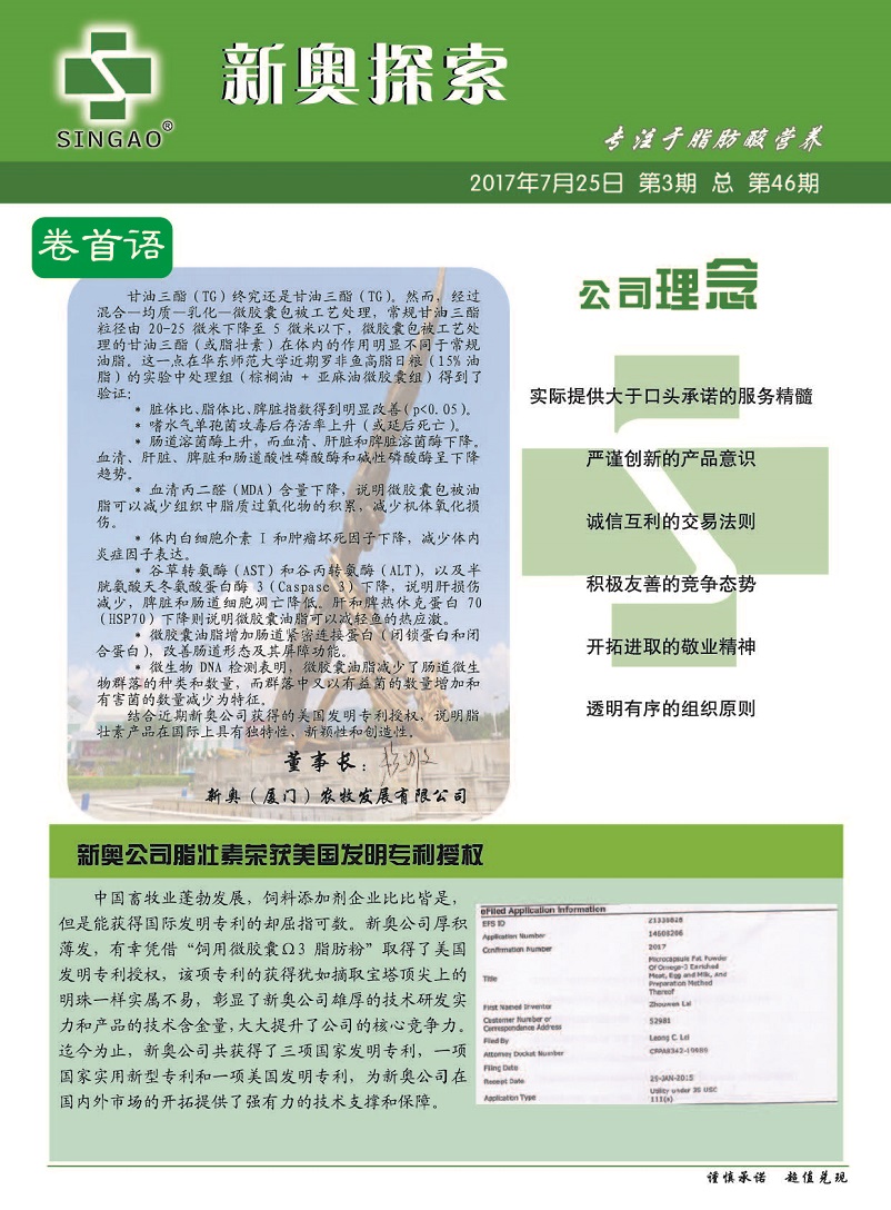 2025新奥精准资料免费大全078期,新奥精准资料免费大全（第078期）——探索未来的蓝图