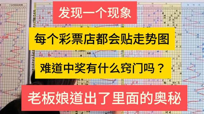 2025新奥今晚开奖记录查询,揭秘新奥彩票背后的秘密，今晚开奖记录查询与未来趋势分析
