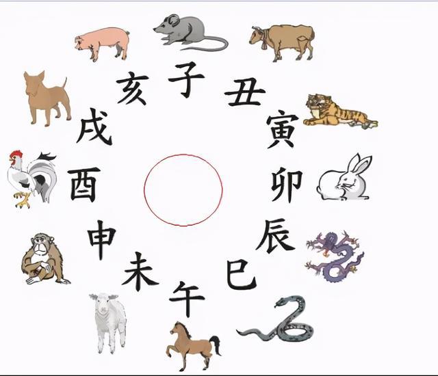 最准一肖100%准确使用方法,揭秘最准一肖，揭秘生肖预测背后的秘密与使用方法