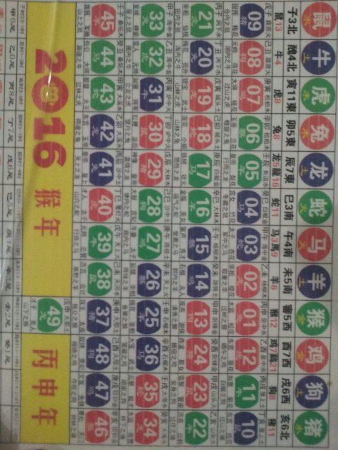 2025十二生肖49码表,揭秘十二生肖与数字密码，2025年十二生肖49码表详解