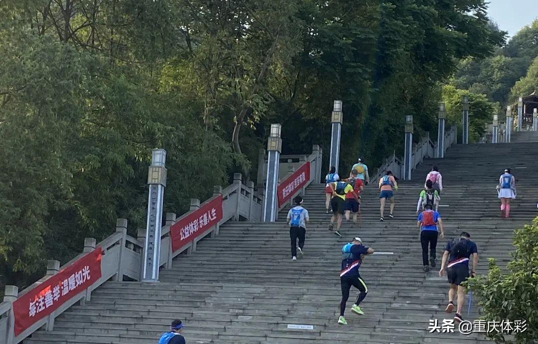 2025澳门免费最精准龙门,澳门免费最精准龙门预测，探索未来的彩票奥秘（2025年展望）