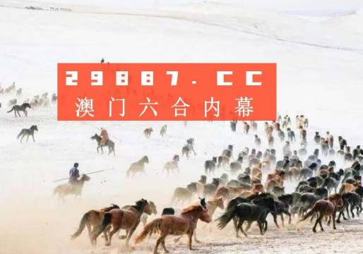澳门开奖4949,澳门开奖4949，历史、现状与未来展望