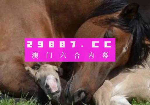 4949澳门特马今晚开奖53期,探索澳门特马文化，第53期开奖背后的故事