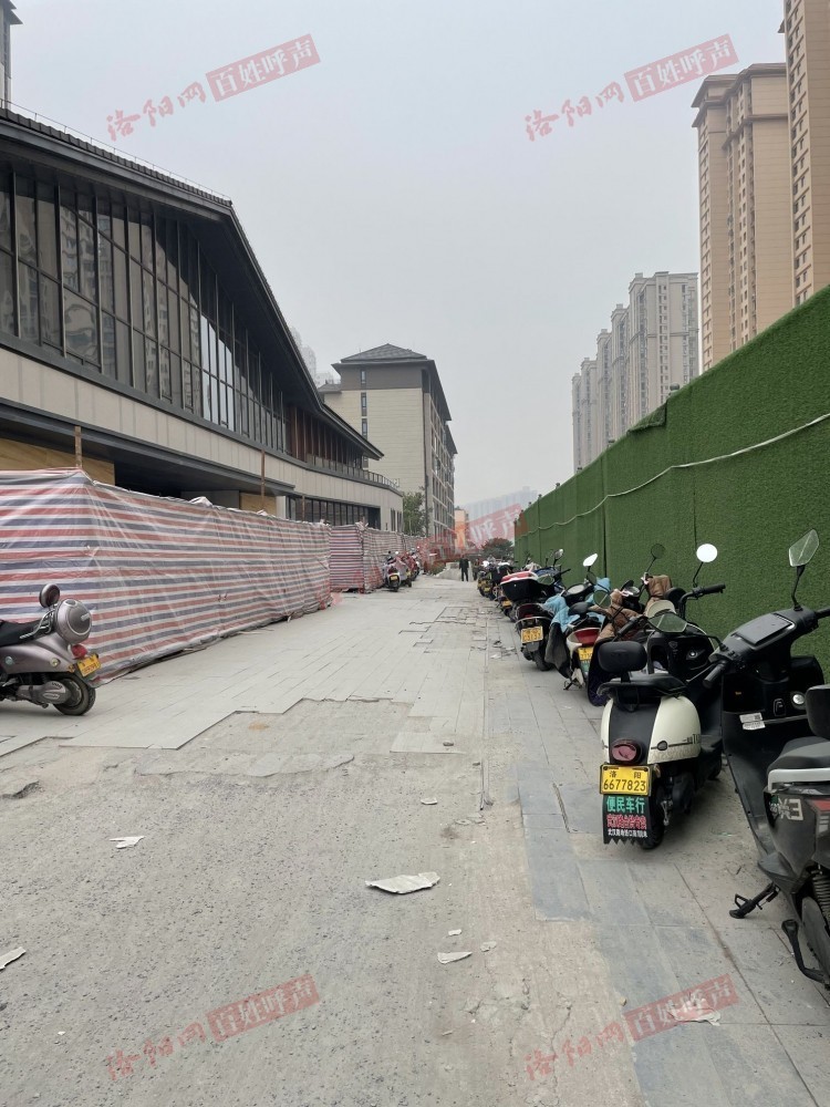 洛阳市道北最新消息,洛阳市道北地区最新发展动态