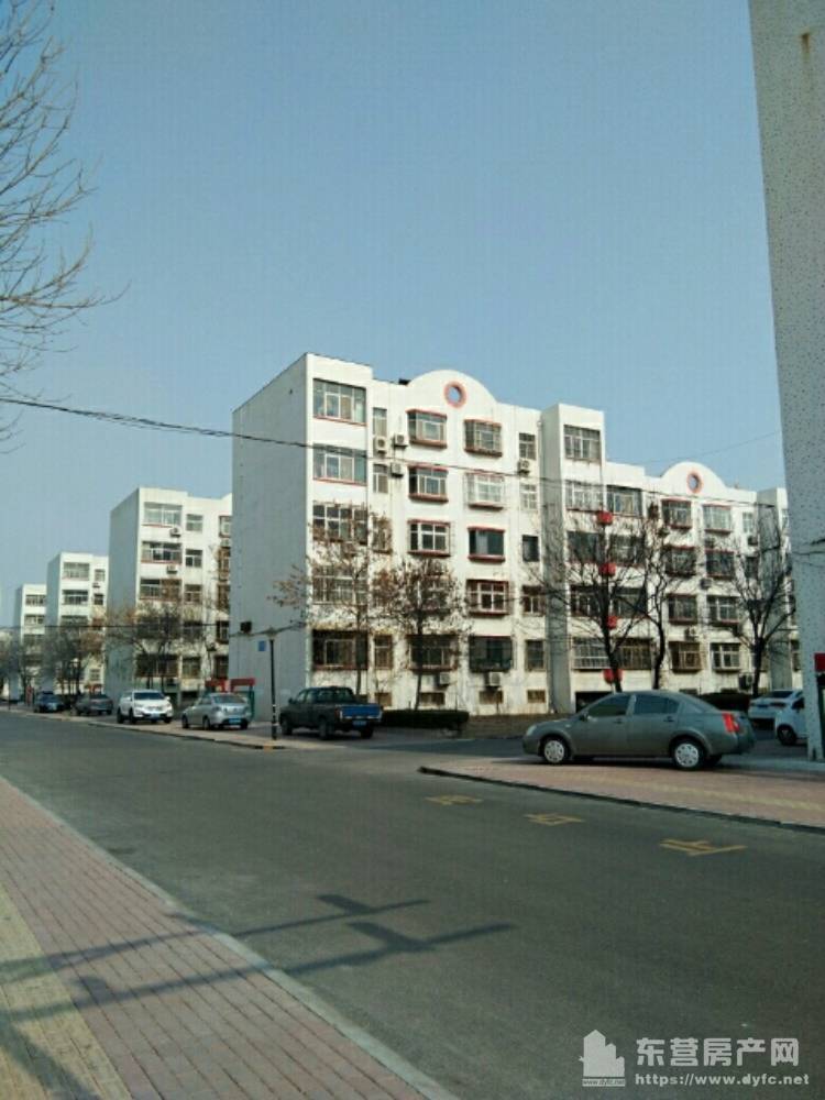 东营市东城最新二手房,东营市东城最新二手房市场分析与趋势预测