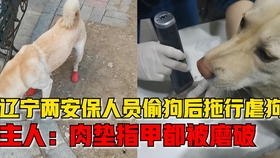 快评 第334页