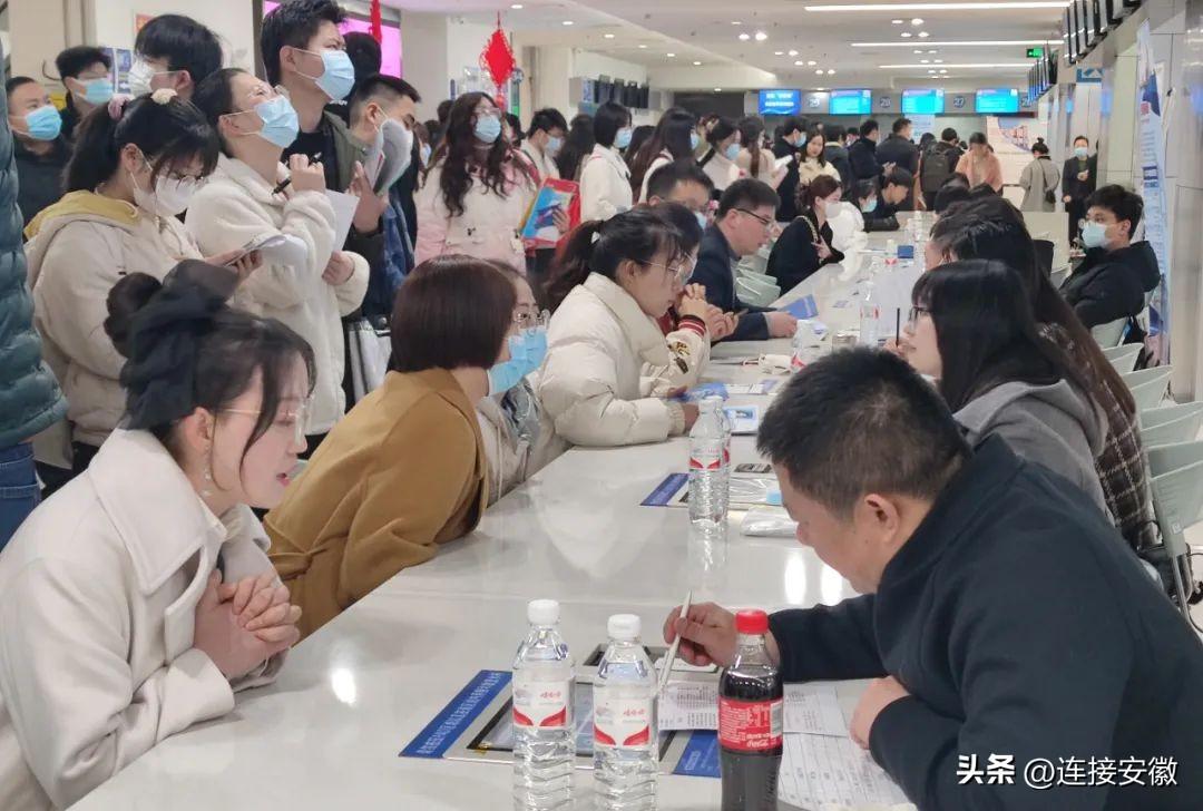 建材招聘网最新招聘,建材招聘网最新招聘动态及相关解析
