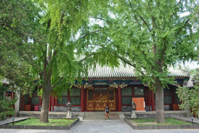 六安皋城王府最新消息,六安皋城王府最新消息，揭开历史与现代交织的华章