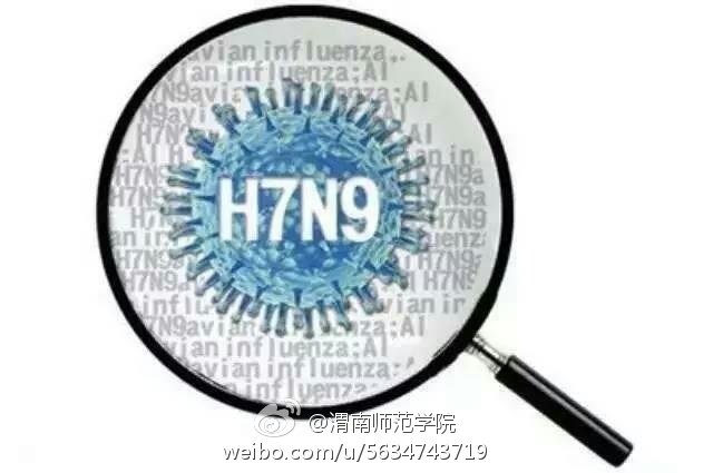 陕西省h7n9最新情况,陕西省H7N9最新情况报告