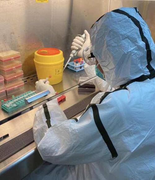 伊维菌素治疗新冠病毒最新消息,伊维菌素治疗新冠病毒的最新消息