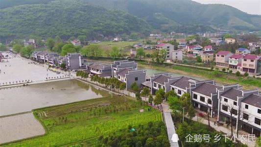 资讯 第332页