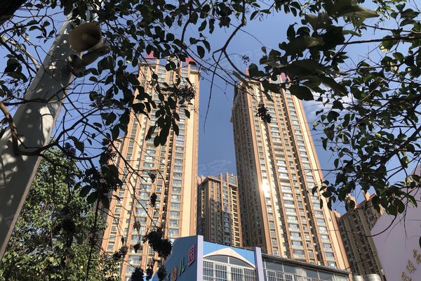 金泰国际二期最新消息,金泰国际二期最新消息全面解读