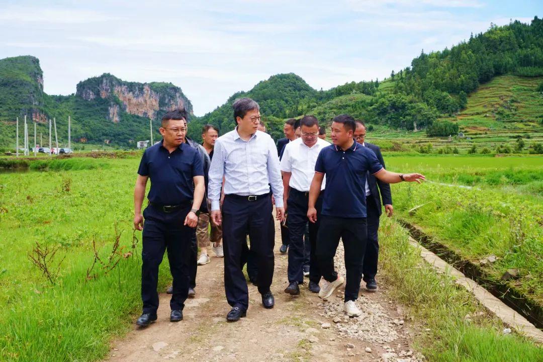 中电普安电厂最新消息,中电普安电厂最新消息全面解析