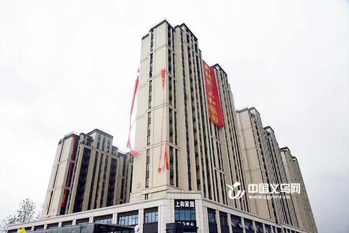 义乌九洲百合最新消息,义乌九洲百合最新消息，展现全新面貌与发展动态