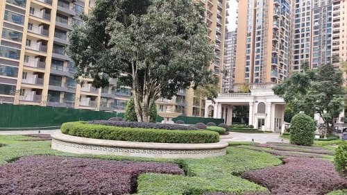 信合御龙山最新房价,信合御龙山最新房价动态分析
