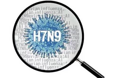 临沂h7h9最新消息,临沂H7N9与H9N2最新消息深度解析