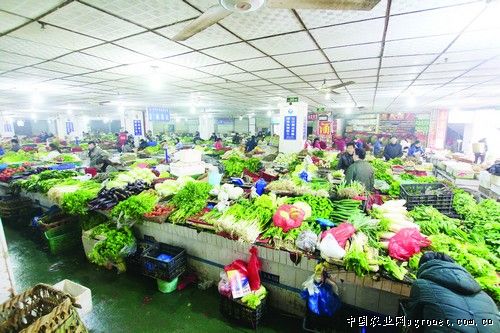 鞍山宁远农产品批发市场最新价格,鞍山宁远农产品批发市场最新价格概览