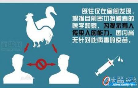 h7n9禽流感最新人数,H7N9禽流感最新人数报告，全球态势与应对策略