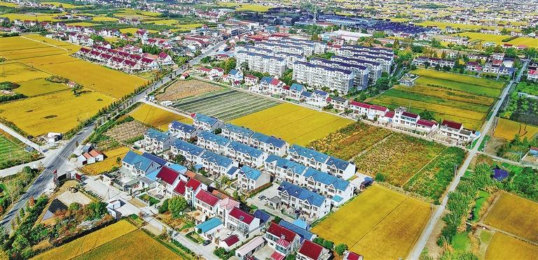 中原区冯湾村最新消息,中原区冯湾村最新消息全面解读