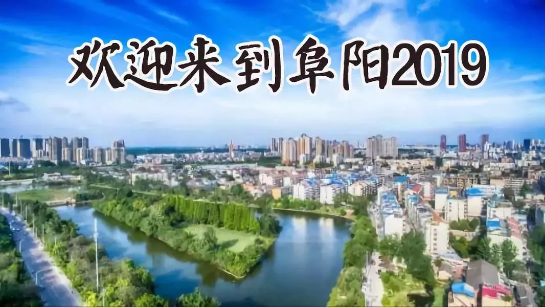 快评 第295页