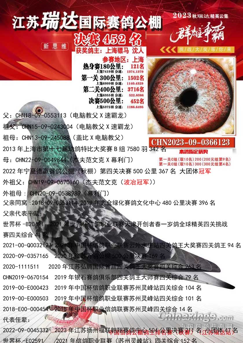 铭桥赛鸽公棚最新公告,铭桥赛鸽公棚最新公告