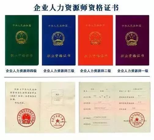 最新版国家安全局证件,最新版国家安全局证件，特点、功能与应用