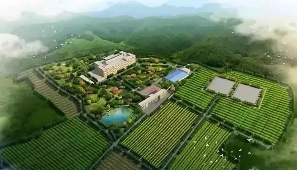 禹州市沙陀湖最新进展,禹州市沙陀湖最新进展，生态修复与旅游开发的融合
