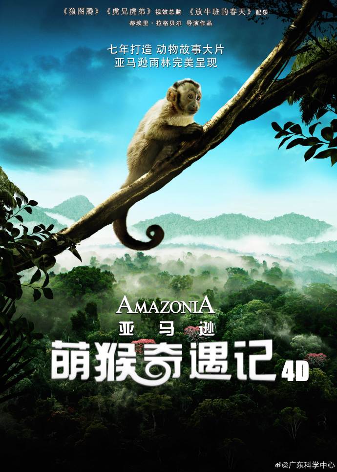 资讯 第296页