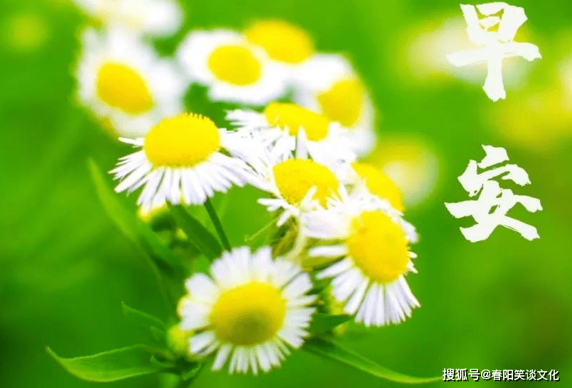 早晨的空气是最新鲜的,早晨的空气是最新鲜的，唤醒自然与生活的美好旋律