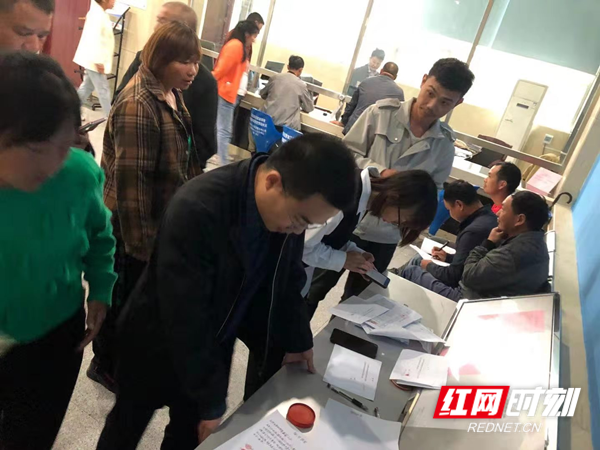资讯 第290页