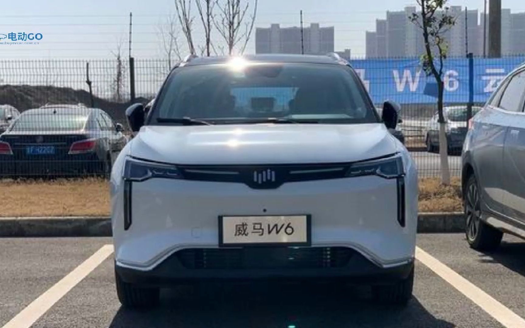 威马W6,威马W6，智能电动车的新标杆