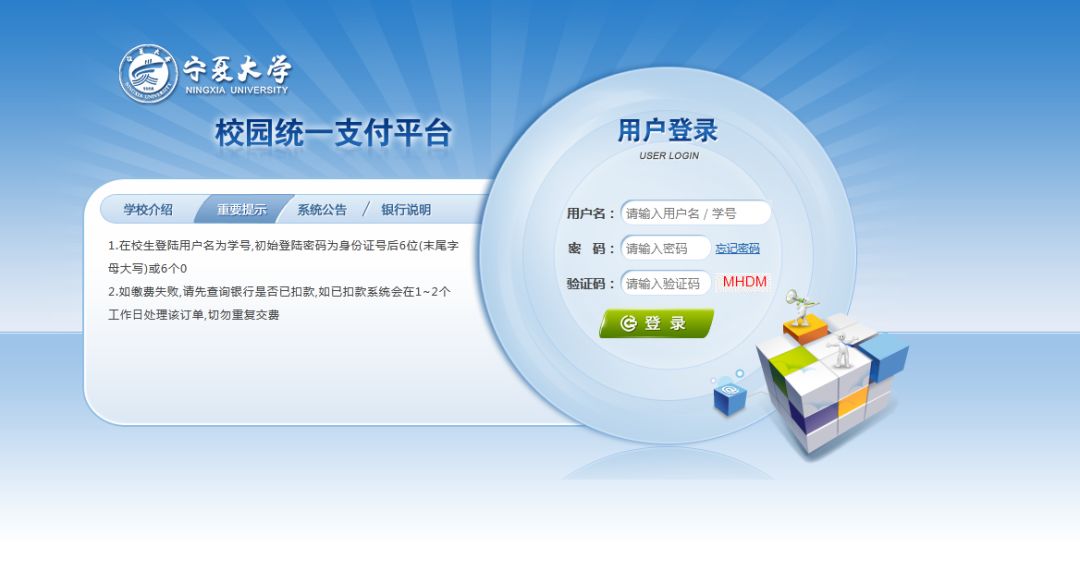 2025管家婆一肖一马,关于2025管家婆一肖一马的神秘预测与解读