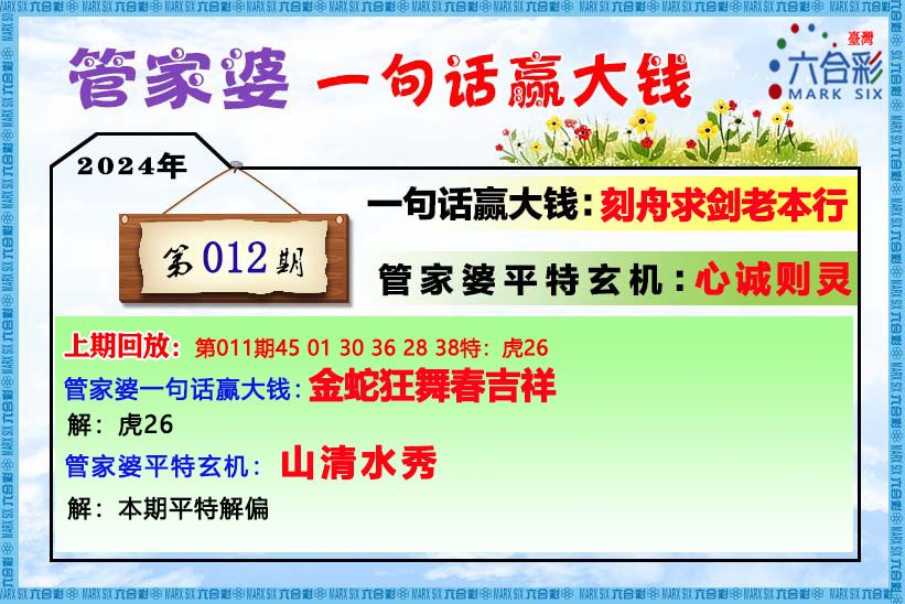 香港管家婆期期最准资料,香港管家婆期期最准资料，揭秘与探索