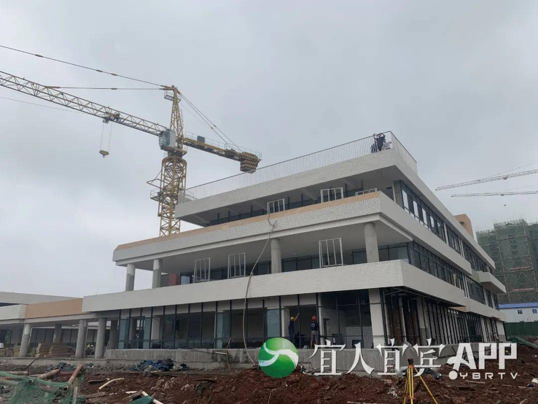 2025新澳门精准免费大全,澳门精准预测，探索未来的新澳门免费大全（2025版）