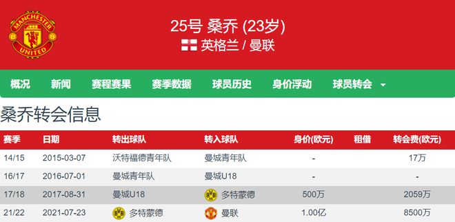 管家婆一肖一马一中一特,管家婆一肖一马一中一特，揭秘神秘预测背后的故事