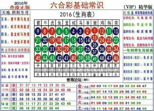 2025十二生肖49码表,揭秘十二生肖与数字密码，2025年十二生肖49码表详解