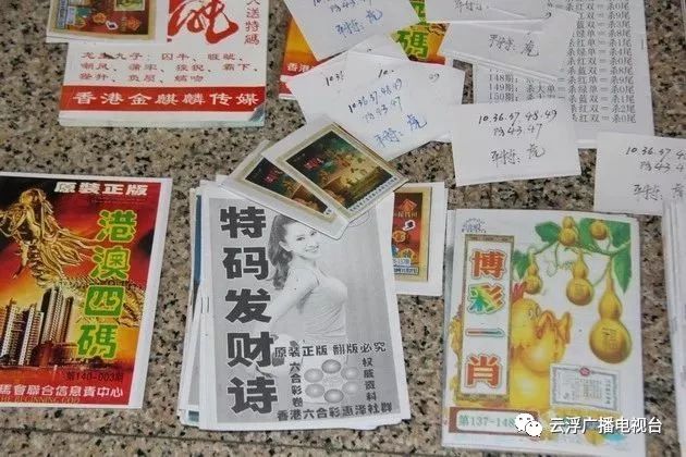 新奥门特免费资料内部玄机,新澳门特免费资料内部玄机探究