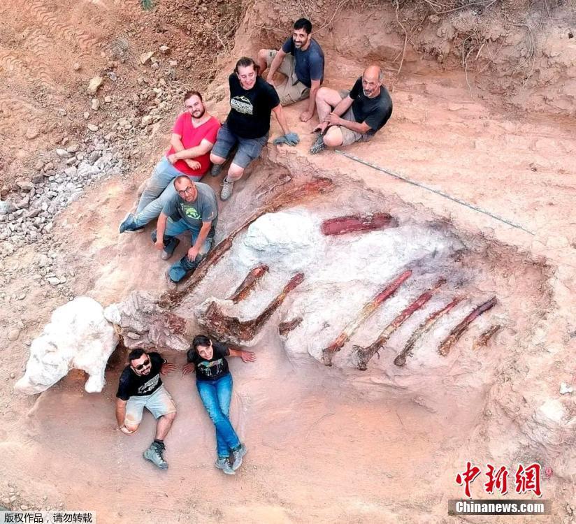 大众网官网新澳门开奖,大众网官网，新澳门开奖的实时动态与解析