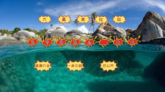 澳门天天开彩好资料开奖81期,澳门天天开彩好资料开奖81期，揭示背后的犯罪问题与挑战