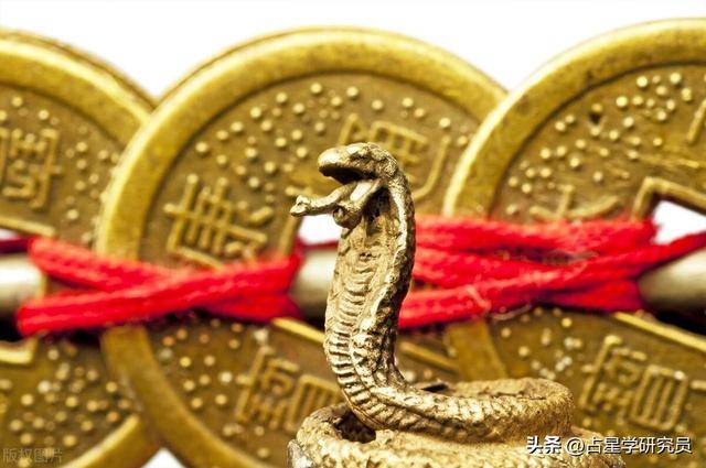 白小姐三肖三码必中生肖,揭秘白小姐三肖三码，探索生肖预测的奥秘