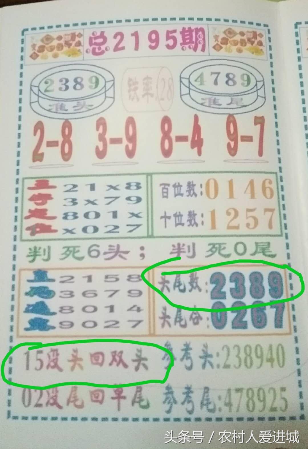 新澳门一肖中100%期期准,新澳门一肖中，揭秘期期准的奥秘与真相
