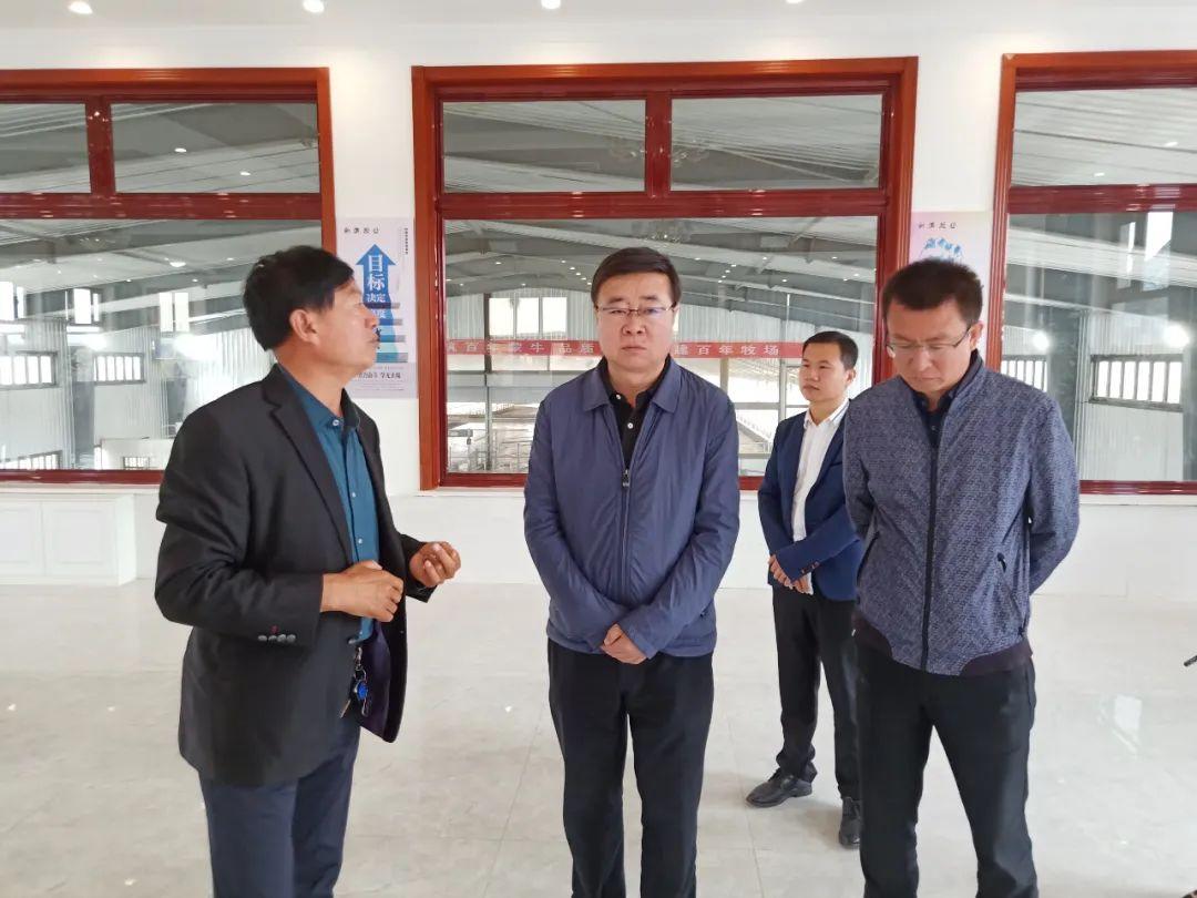 免费资料大全新澳内部资料精准大全,免费资料大全新澳内部资料精准大全