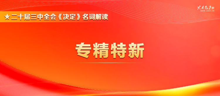 新澳精准资料大全,新澳精准资料大全，探索与解读
