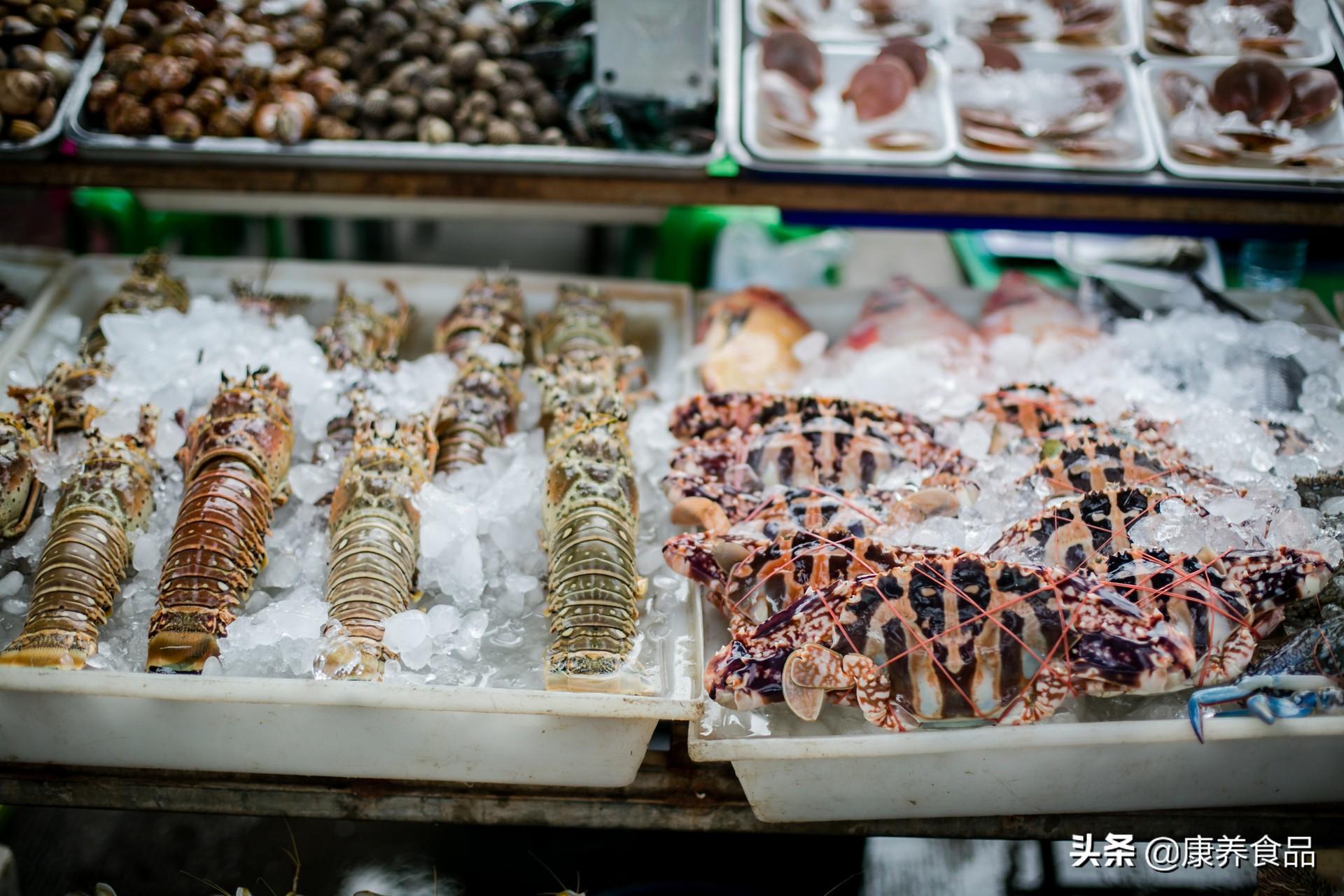正版资料免费大全,正版资料免费大全，探索知识海洋中的宝藏