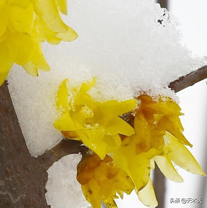 下一期可能中奖号码,揭秘下一期可能中奖号码，探寻幸运之门背后的秘密