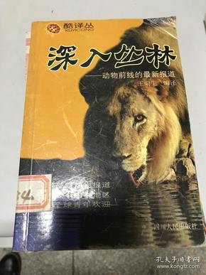 2025四不像正版最新版本,探索与体验，2025四不像正版最新版本的独特魅力