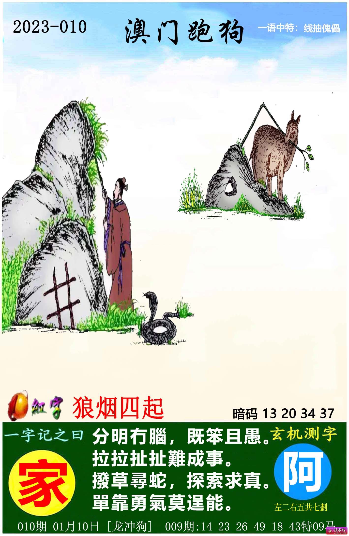 2025澳门跑狗图正版高清图片大全,澳门跑狗图正版高清图片大全，探索2025年的新篇章