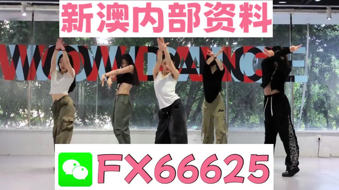 一码一肖100%精准的评论,一码一肖，百分之百精准的评论艺术